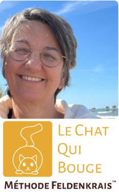 location studio yoga saint brévin